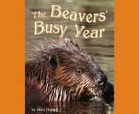 The_Beavers__Busy_Year